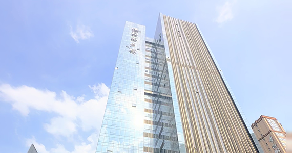 如何查询域名归属公司