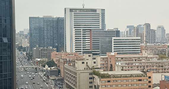 怎么查询自己公司的域名