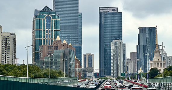 中文域名注册公司电话查询