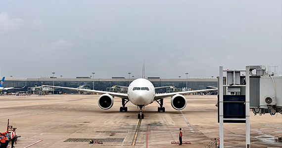 通过深圳网络推广公司查询域名