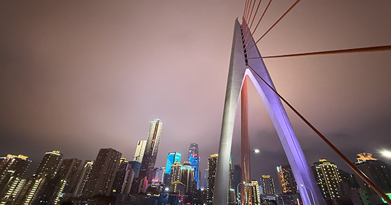 网上公司域名怎么注册信息查询