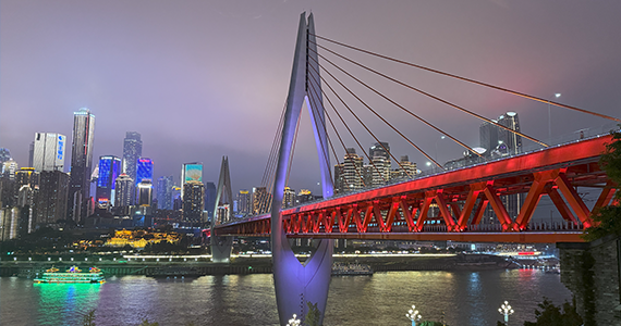 如何通过域名查询注册公司