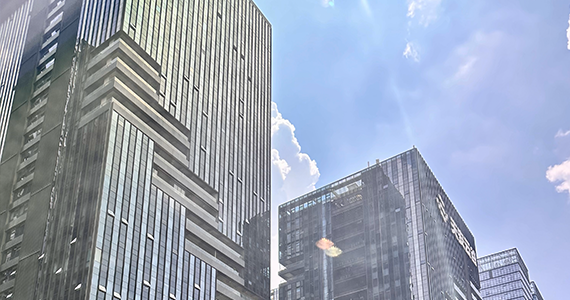 如何查询注册域名的公司