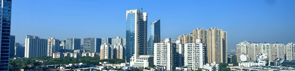 公司域名查询网